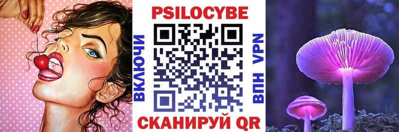 Купить где  Судогда  Галлюциногенные грибы Psilocybine cubensis 