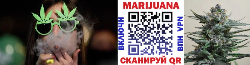 Купить где  Судогда  Каннабис сатива 